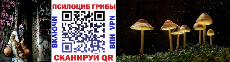 цены наркотик  omg ONION  Псилоцибиновые грибы мицелий  это как зайти  Наволоки 
